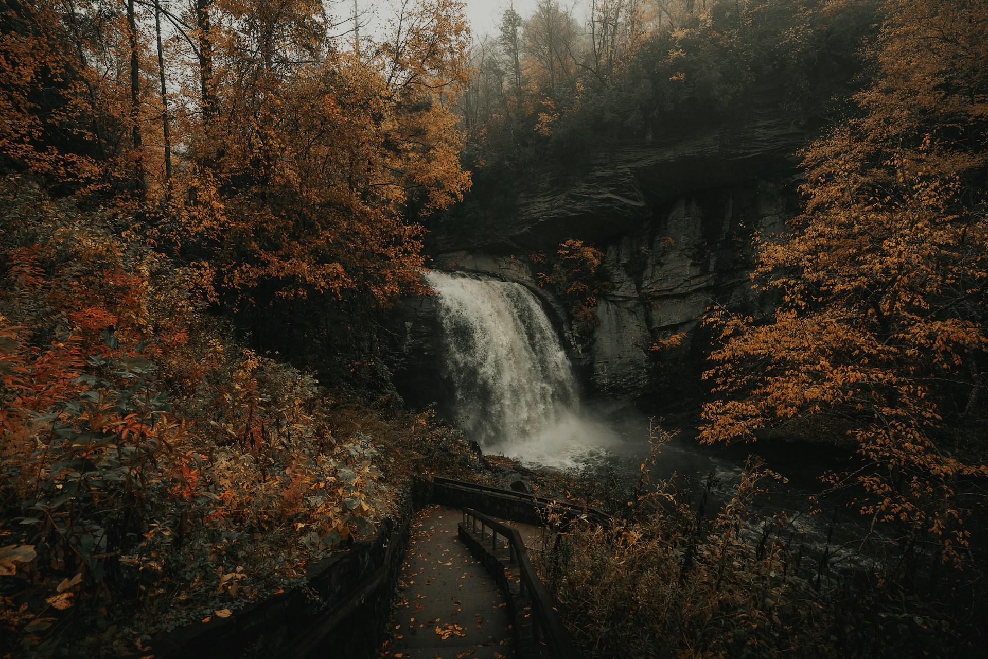 Brevard, NC Plumber